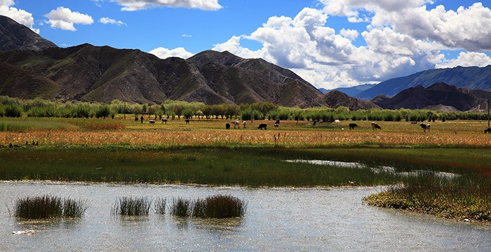 Landscape in Tibet